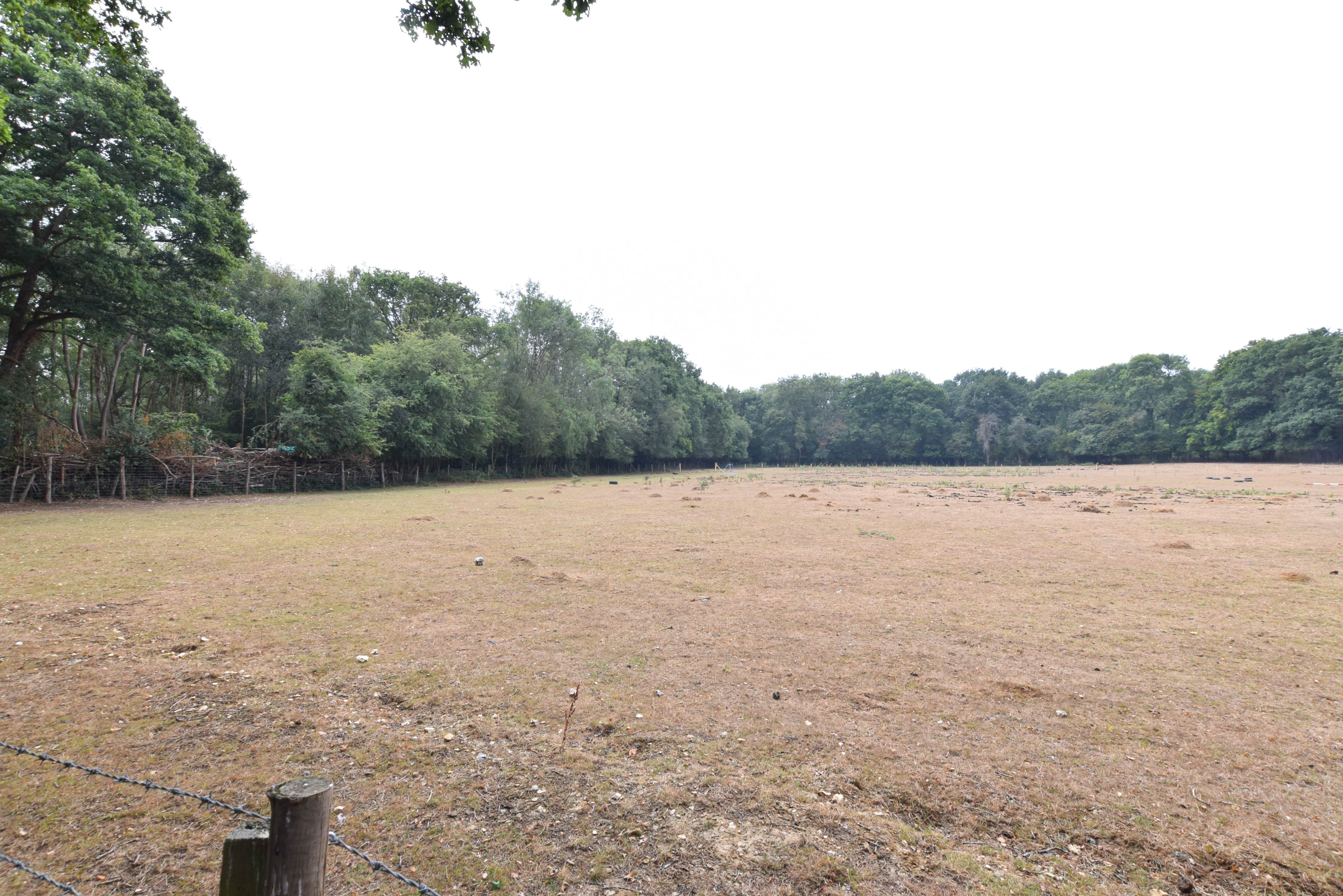 New Years Lane, Knockholt, TN14